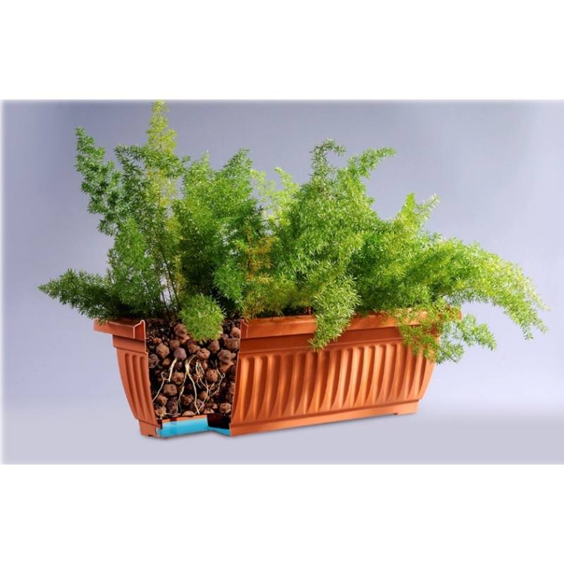 CHẬU DÀI BABA-BI-519 -MÀU NGÓI/ NÂU ĐẬM